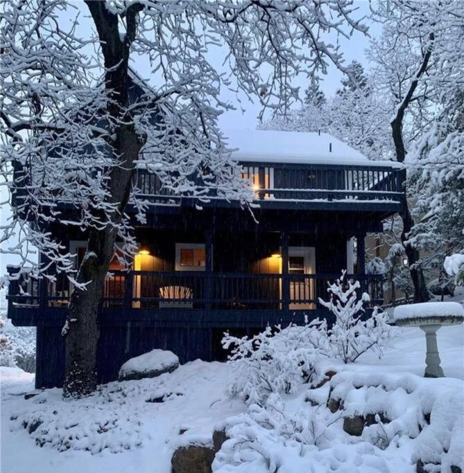 Charming Getaway Cabin Lake Arrowhead Εξωτερικό φωτογραφία